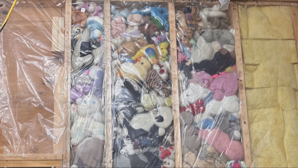 B.C. man discovers 115 stuffed animals hidden behind wall [Video]