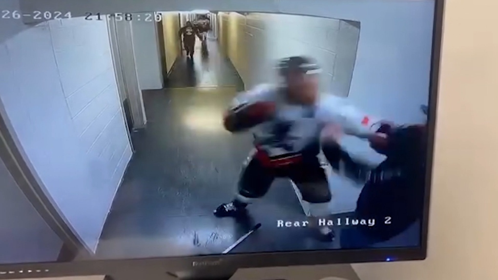 Newfoundland hockey player suspended after fight with fan [Video]