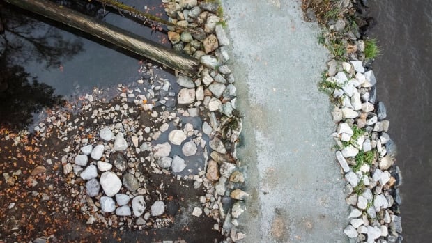 Ministry investigating after natural pools filled with boulders in Harrison Hot Springs, B.C. [Video]