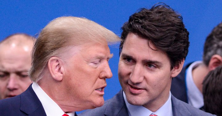 No rush for snap election in Canada after Trump win, experts say – National [Video]