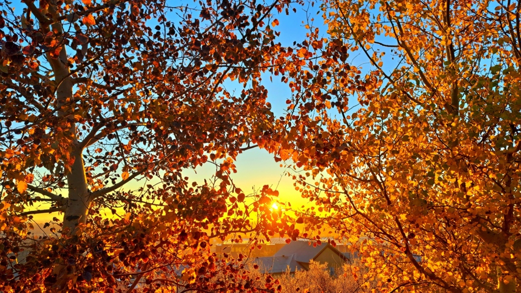 Calgary weather: Mild Friday followed by a colder weekend [Video]