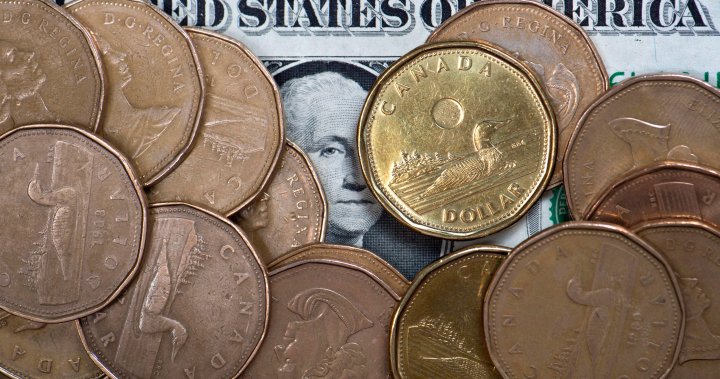 What Trumps election could mean for Canadian rates and the loonie – National [Video]