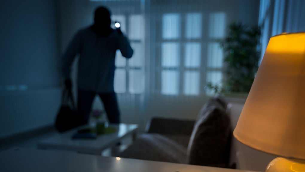 Ottawa police issue a warning about a rise in residential break-ins [Video]