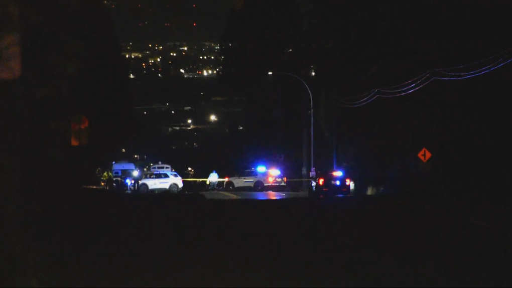 South Surrey hit-and-run leaves pedestrian dead: RCMP [Video]