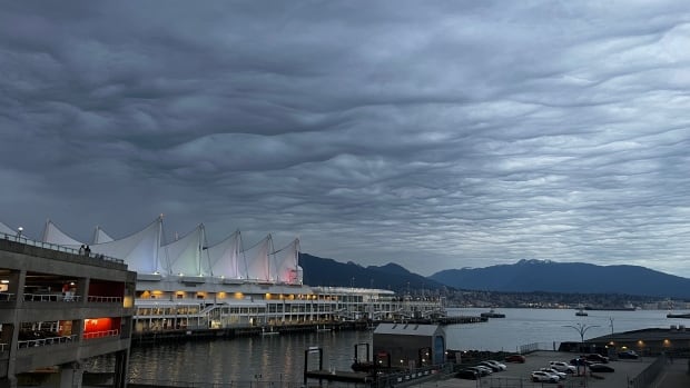 Those strange clouds over Vancouver are called ‘asperitas,’ and they are very rare [Video]