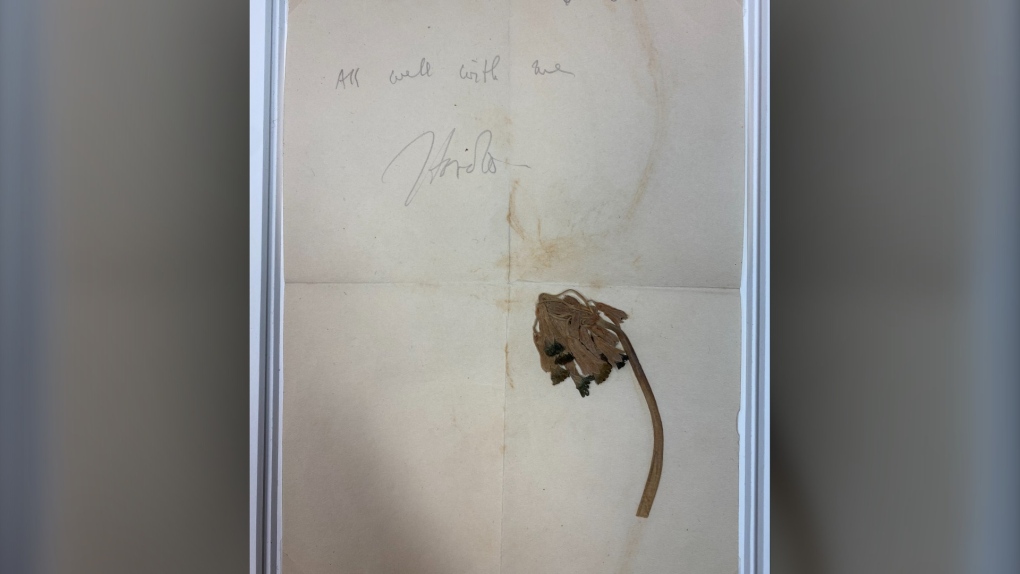 U of T technology solves First World War soldier’s flower mystery [Video]