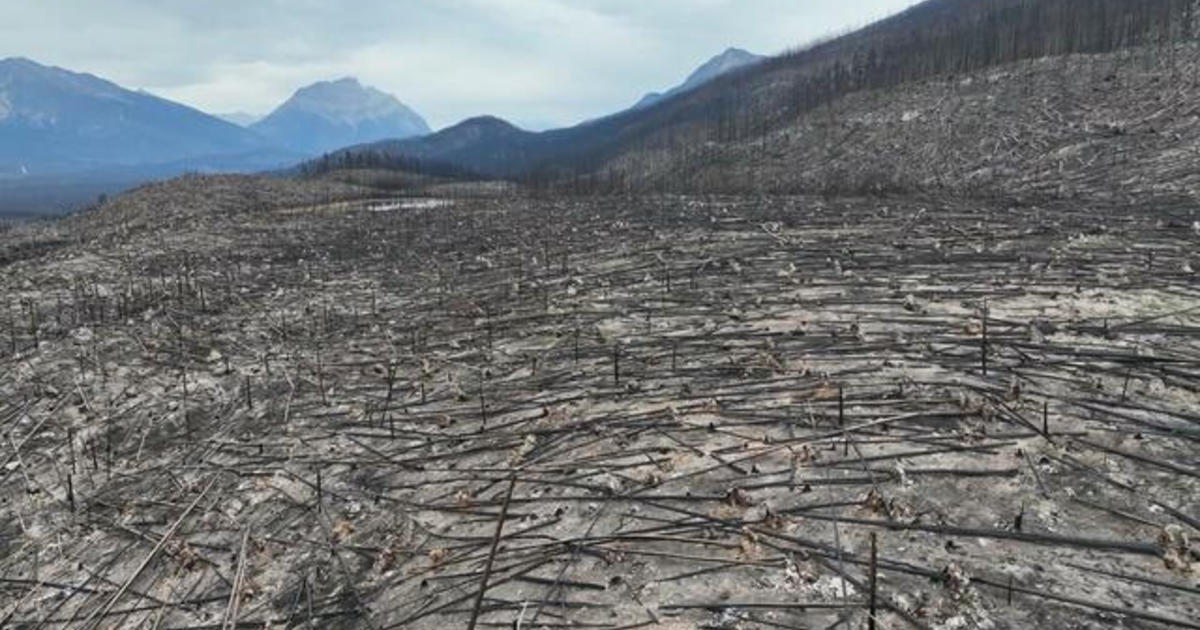 How summer wildfires tore through Canada’s Jasper National Park [Video]