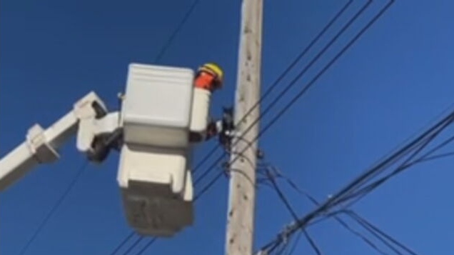 Cat keeps nine lives after hydro pole rescue [Video]