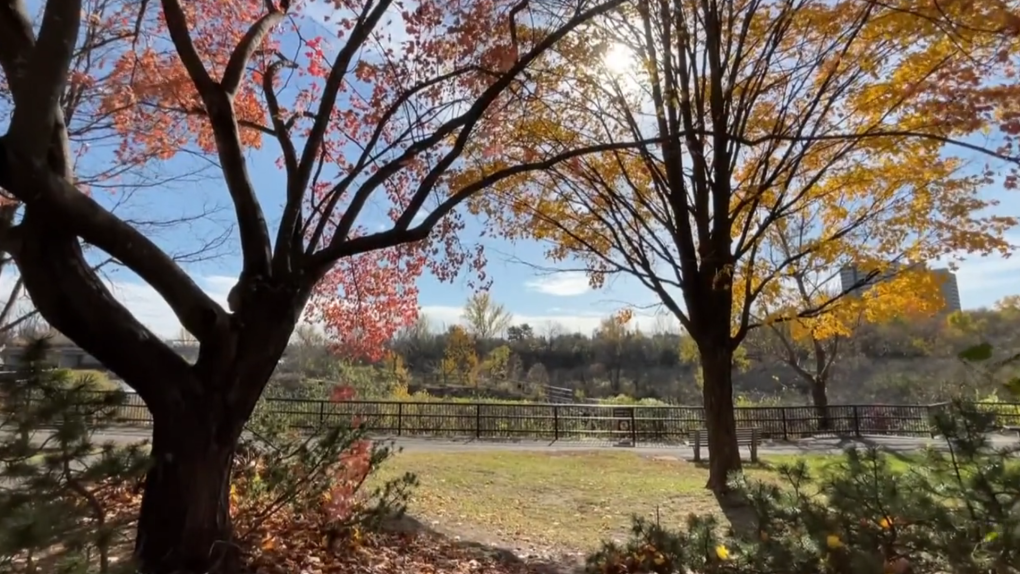 Ottawa weather: Off to a sunny day this Saturday [Video]