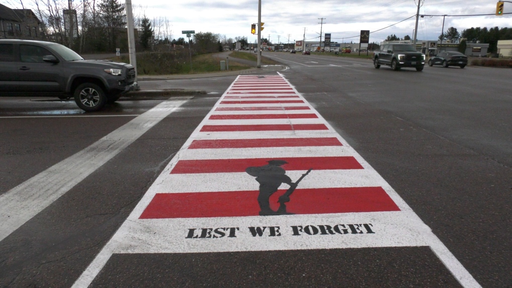 Remembrance Day: Community and military bond on display in Petawawa, Ont. [Video]