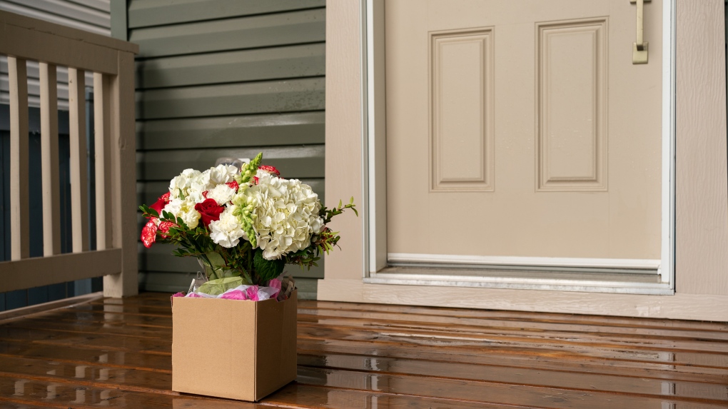 Porch flowers leads to arrest [Video]