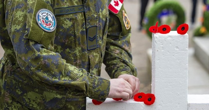 Canada should be world leader on alternative PTSD therapies, veteran says – National [Video]