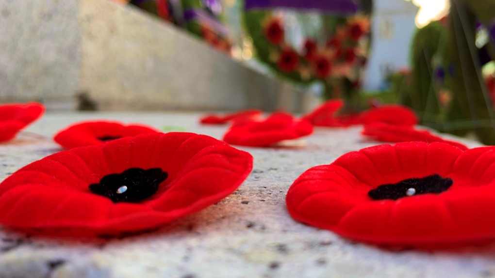 Heres whats open and closed in the Maritimes for Remembrance Day [Video]