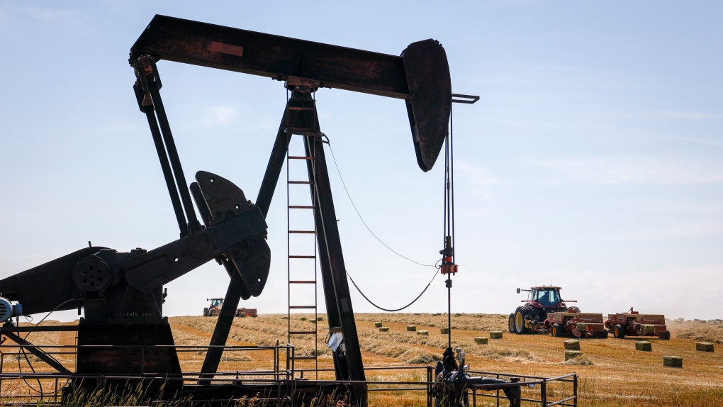 Oil, gas taxes should be collected from royalty revenue: Alta. municipalities [Video]