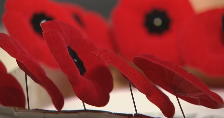 Whats open and whats closed in Winnipeg on Remembrance Day – Winnipeg [Video]