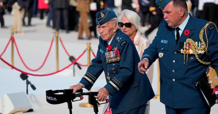 Crowds gather in Toronto to honour veterans, fallen soldiers on Remembrance Day [Video]