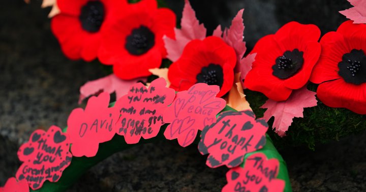 Remembrance Day: Canada honours veterans legacy of courage – National [Video]