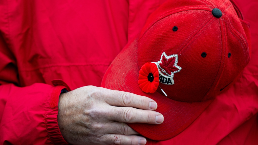 Remembrance Day in Toronto: Crowds gather to honour veterans, fallen soldiers [Video]