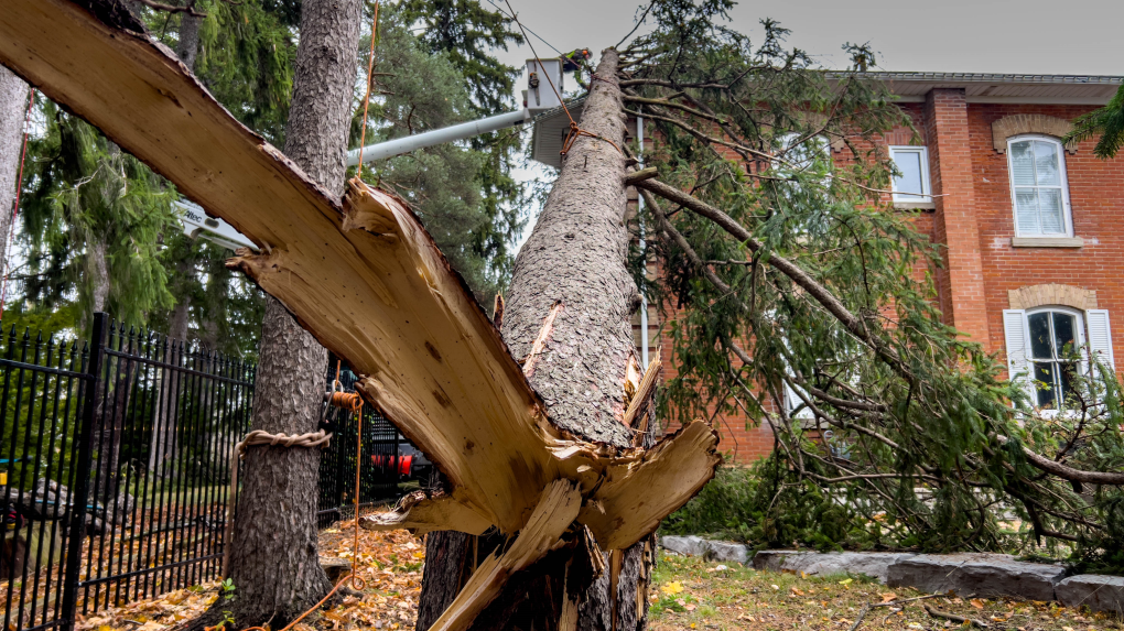 Possible tornado hits Fergus, Ont. [Video]