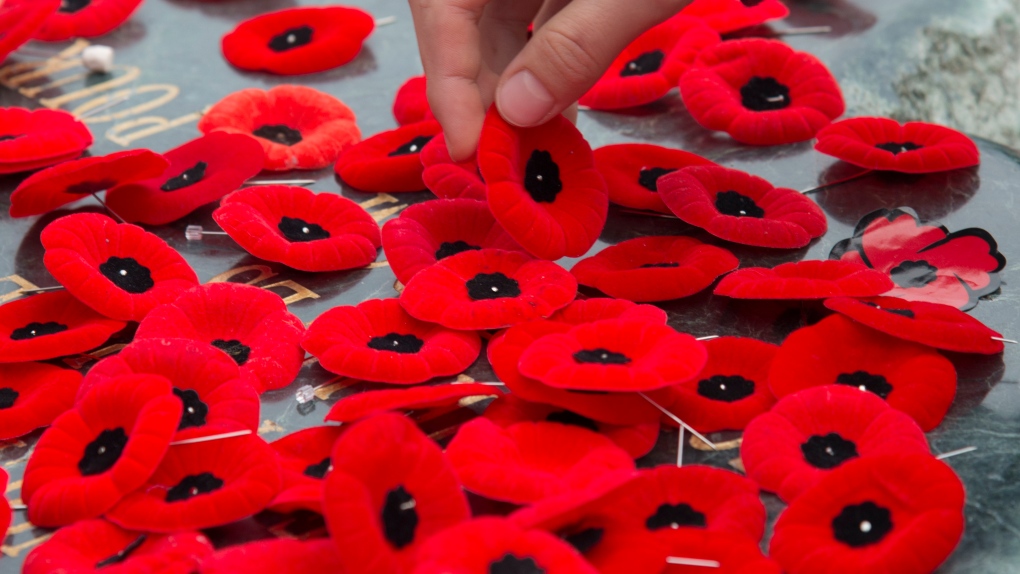 Remembrance Day: What’s happening in Regina [Video]