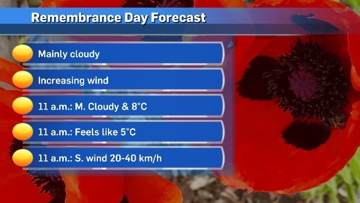 Calgary weather: Mild forecast for Remembrance Day ceremonies in Calgary [Video]