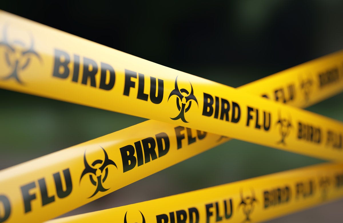 First case of human bird flu presumed in Canada, teenage patient hospitalized [Video]