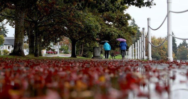 Rain and snow warnings, fog advisory issued for parts of B.C. on Monday [Video]