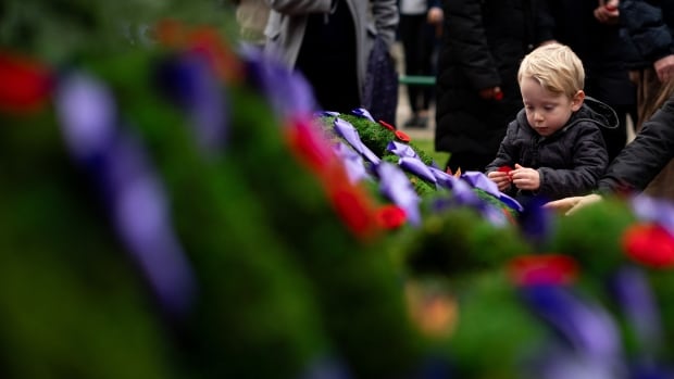 Remembrance Day ceremonies held throughout B.C. [Video]