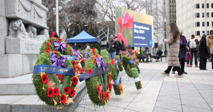 Edmonton residents mark Remembrance Day: We all must tend to democracy – Edmonton [Video]