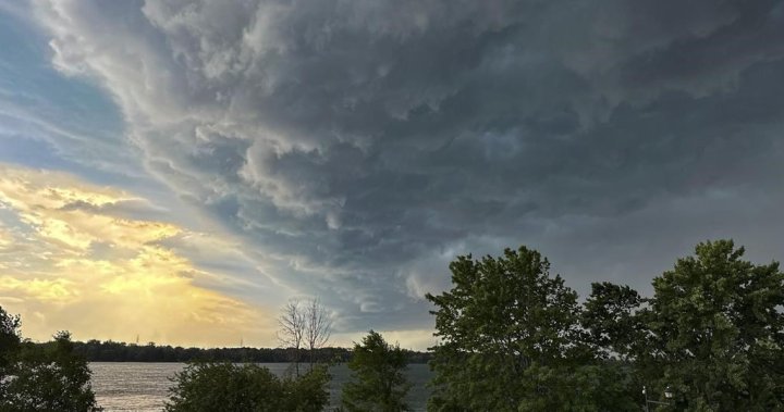 Northern Tornadoes Project confirms tornado touched down in Ontario on Sunday [Video]