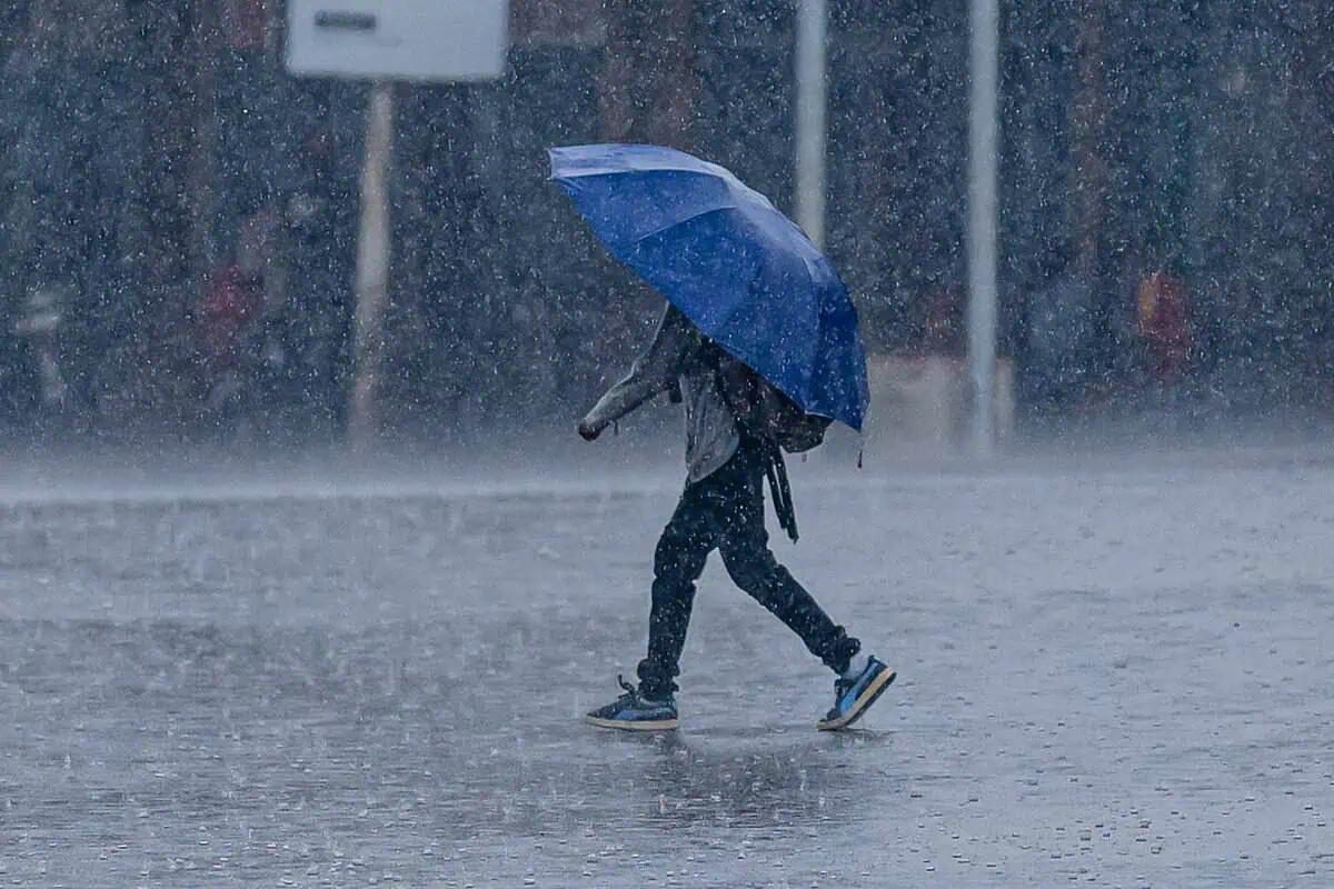 2024 the wettest year on record at Toronto Pearson Airport in Mississauga [Video]