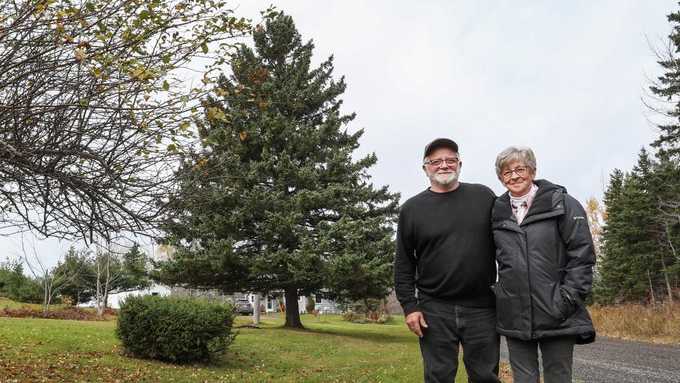 Boston’s official 2024 Christmas Tree selected in Nova Scotia [Video]