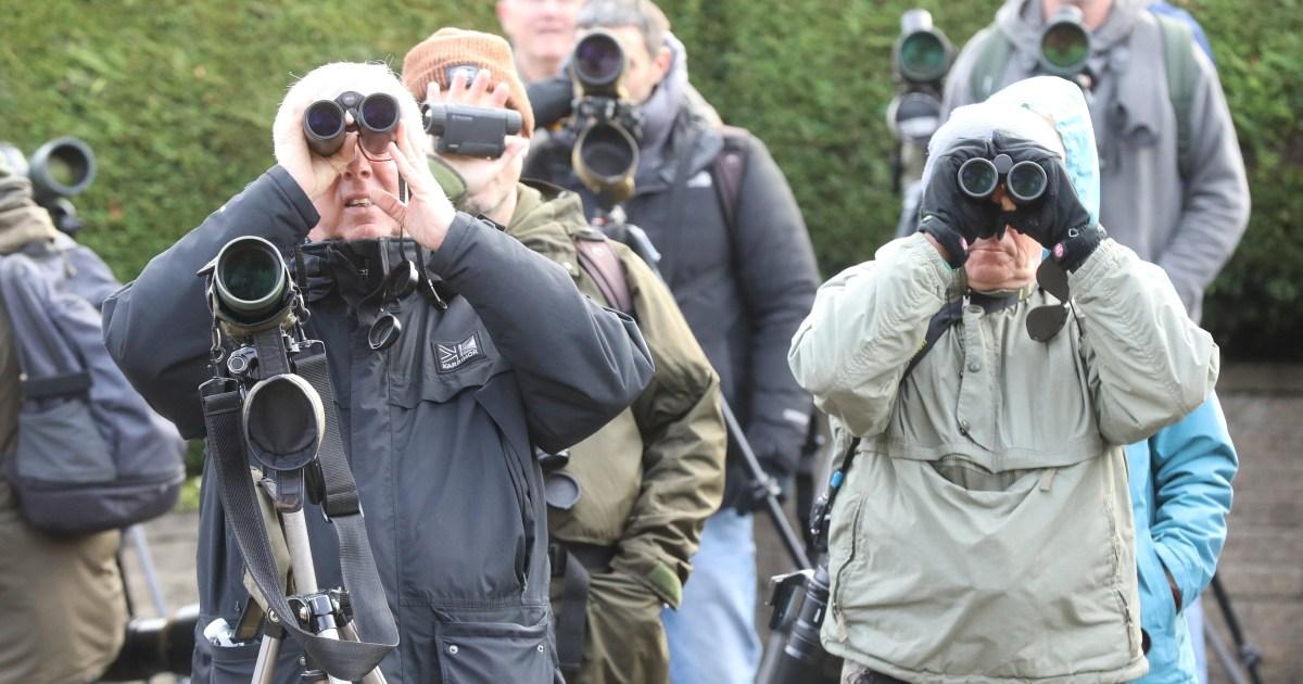 Crowds flock to West Yorkshire village to see scarlet tanager | UK News [Video]