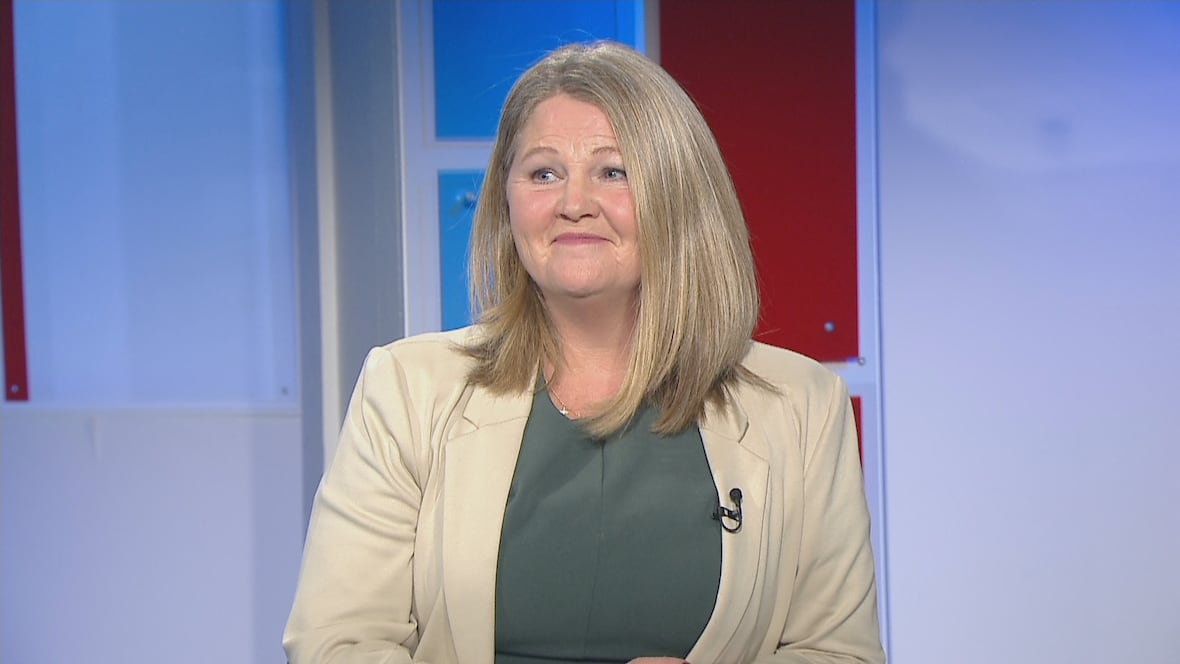 New schools planned for P.E.I. are an investment in youth, says head of Public Schools Branch [Video]