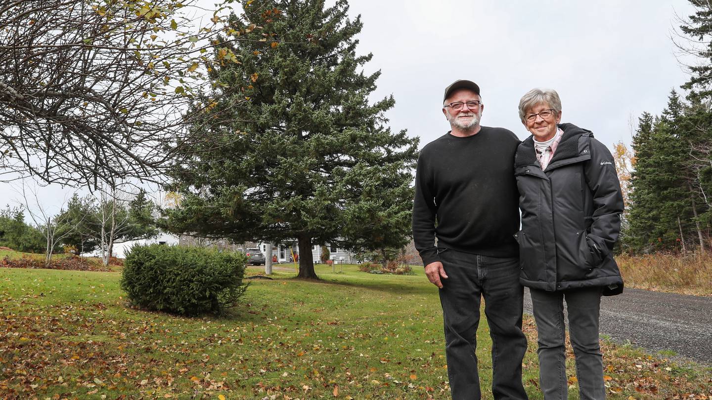 Nova Scotia reveals this Christmas seasons Tree for Boston  Boston 25 News [Video]