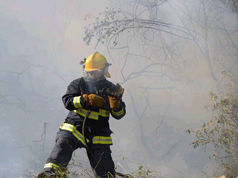 Thousands evacuated as fires rage across northern Israel [Video]