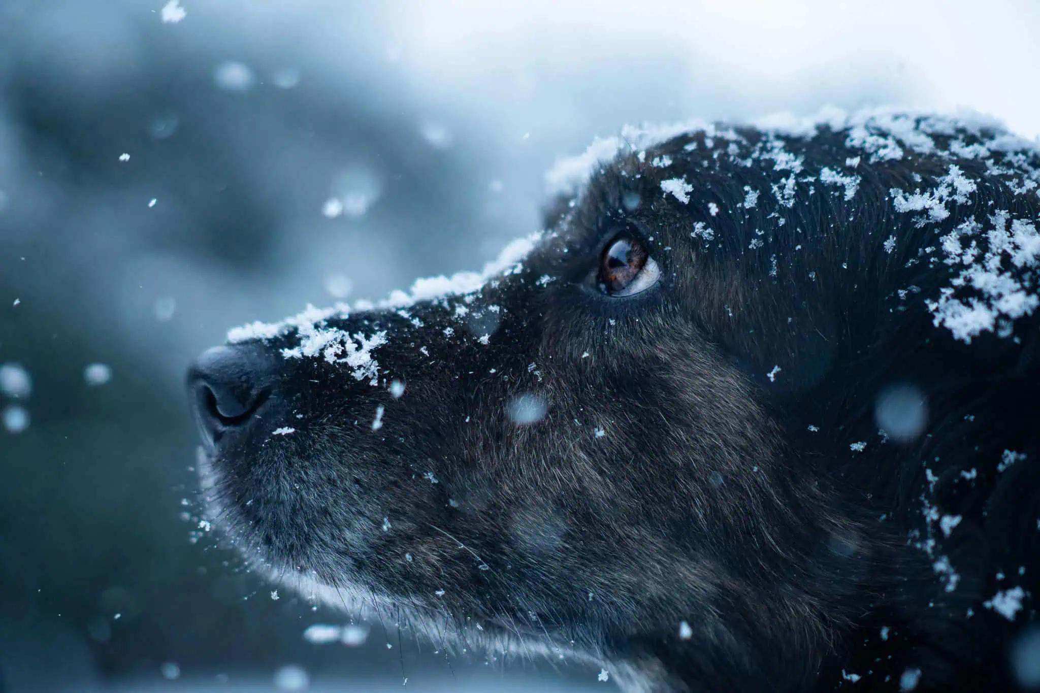 Snow is on the way in southern Ontario [Video]