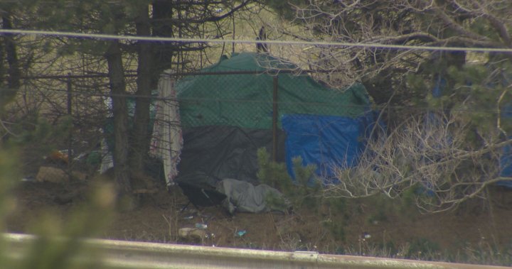 Saint John unhoused population prepares for cold weather ahead – New Brunswick [Video]