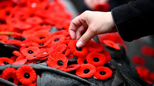 How Remembrance Day and politics collided  and what it means for the future [Video]