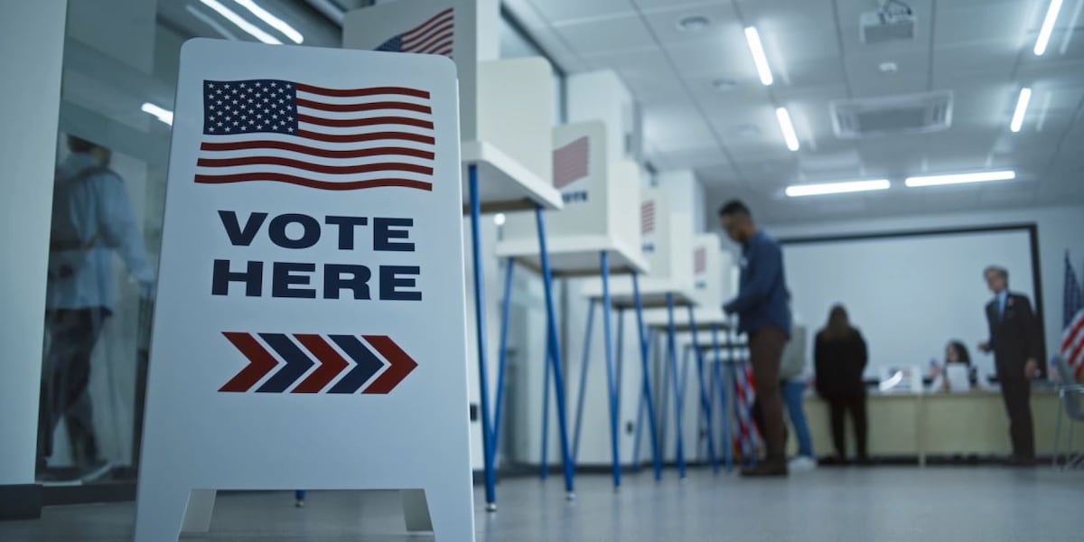 State lawmaker hopes to make Election Day a holiday [Video]