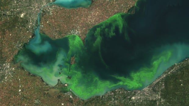 New grants incentivize London-area farmers to fight Lake Erie algal blooms [Video]