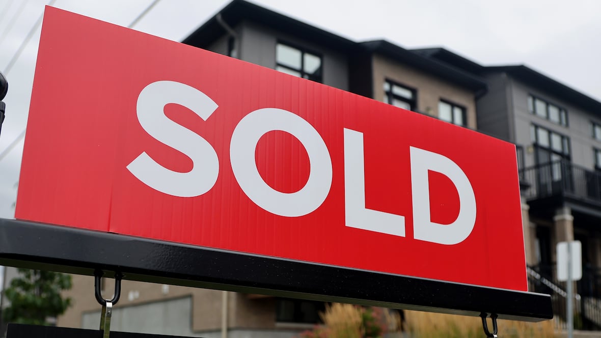 Home sales shoot up as interest rates drop, but many buyers still priced out [Video]