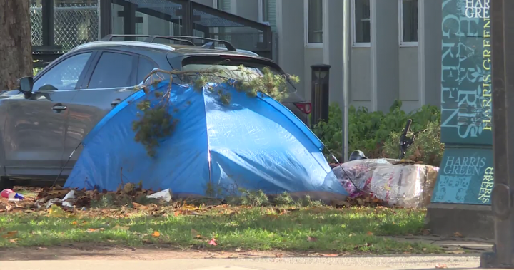 Come on guys: Victoria ups pressure on neighbouring cities over winter shelter spaces - BC [Video]