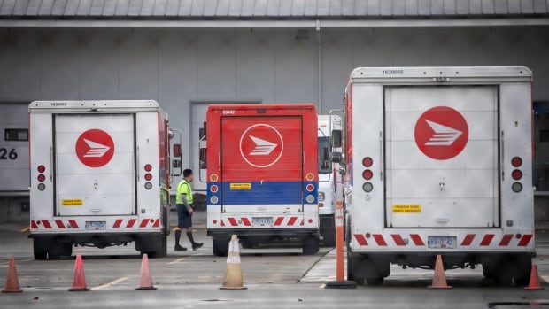 Small and rural B.C. businesses face shipping cost jump as Canada Post workers strike [Video]