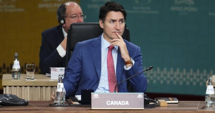 Mexico a solid partner, but concerns about Chinese investment linger: Trudeau - National [Video]