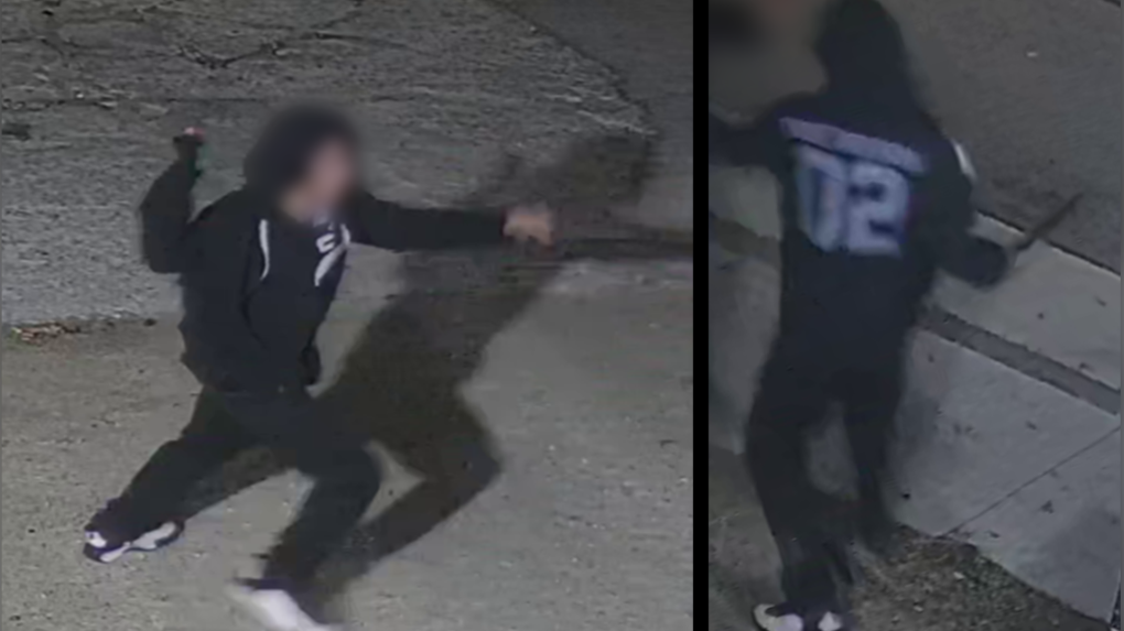 Winnipeg police release photos of suspect in machete attack [Video]