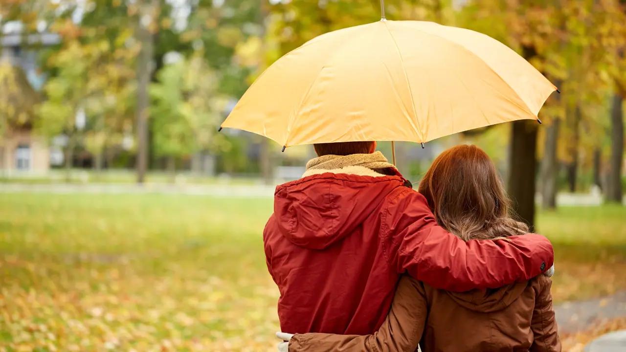 Nov. 17 weather: Mild temperatures, cloudy skies and rain coming up in southern Ontario [Video]