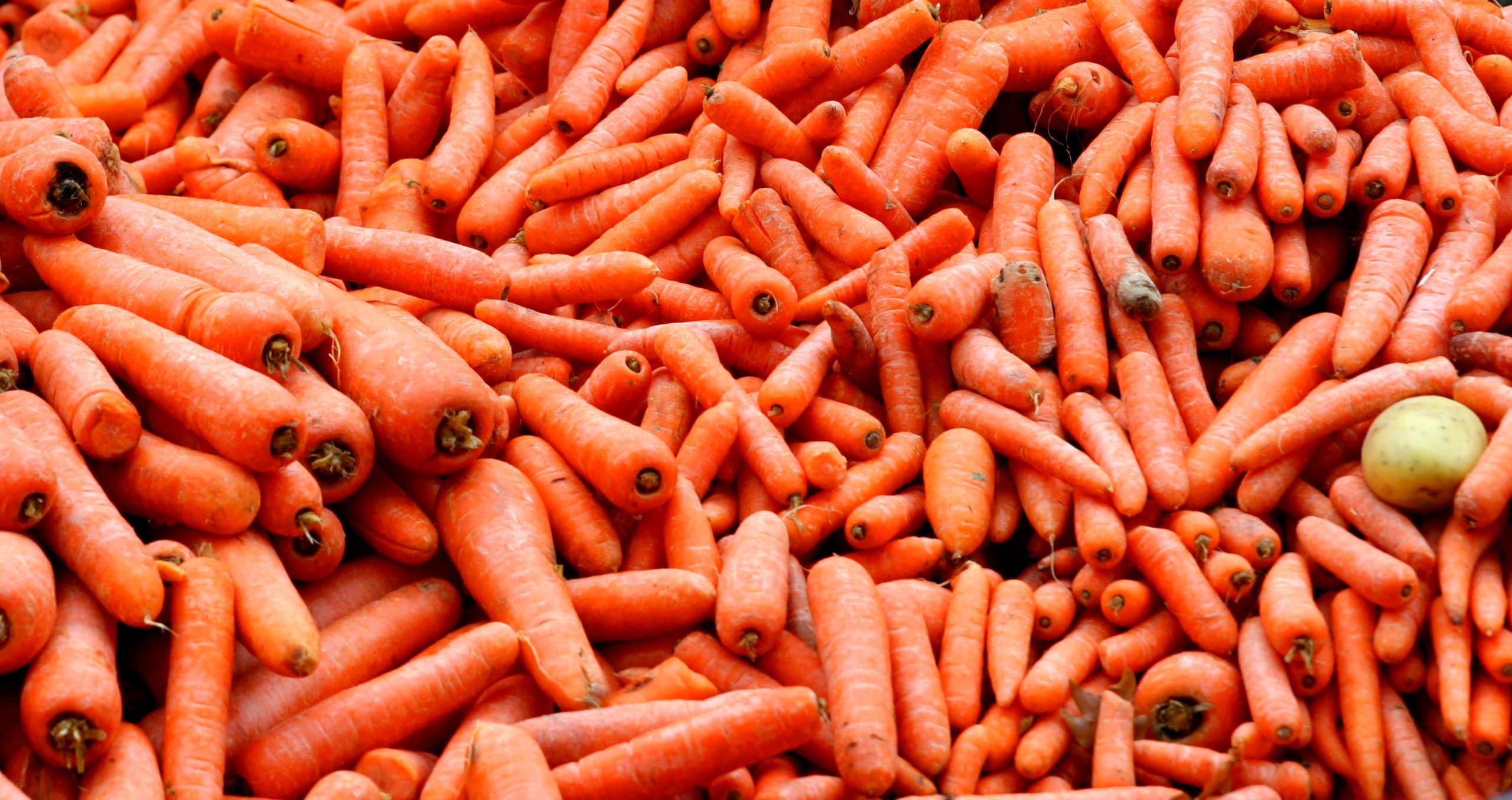 Carrot Recall As Warning Issued Over 19 Brands Sold in Major Stores [Video]