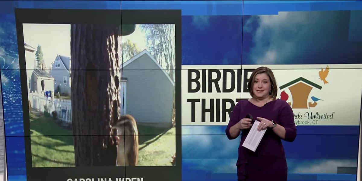 Birdie Thirty: Eyewitness News at 5:30am on 11-17-2024 [Video]