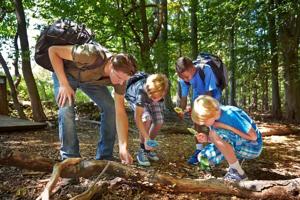 When Schools Give Kids Time in Nature, Anxiety and Behavior Issues Ease [Video]